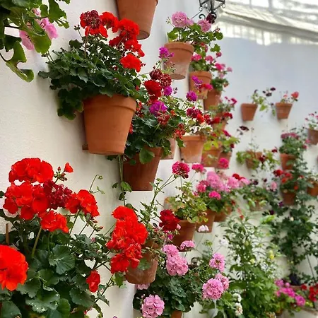 Apartman Amal Casa De Huespedes Córdoba