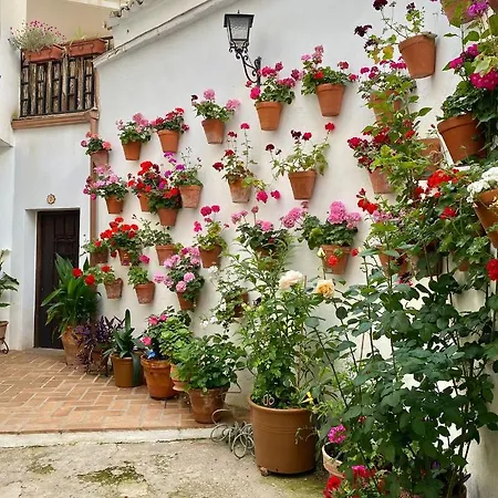 Apartment Amal Casa De Huespedes Cordoba