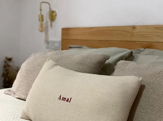公寓 Amal Casa De Huespedes